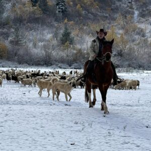 6-daagse Paardrijtocht door Zuid-Albanië -  Albanië - Afbeelding 3