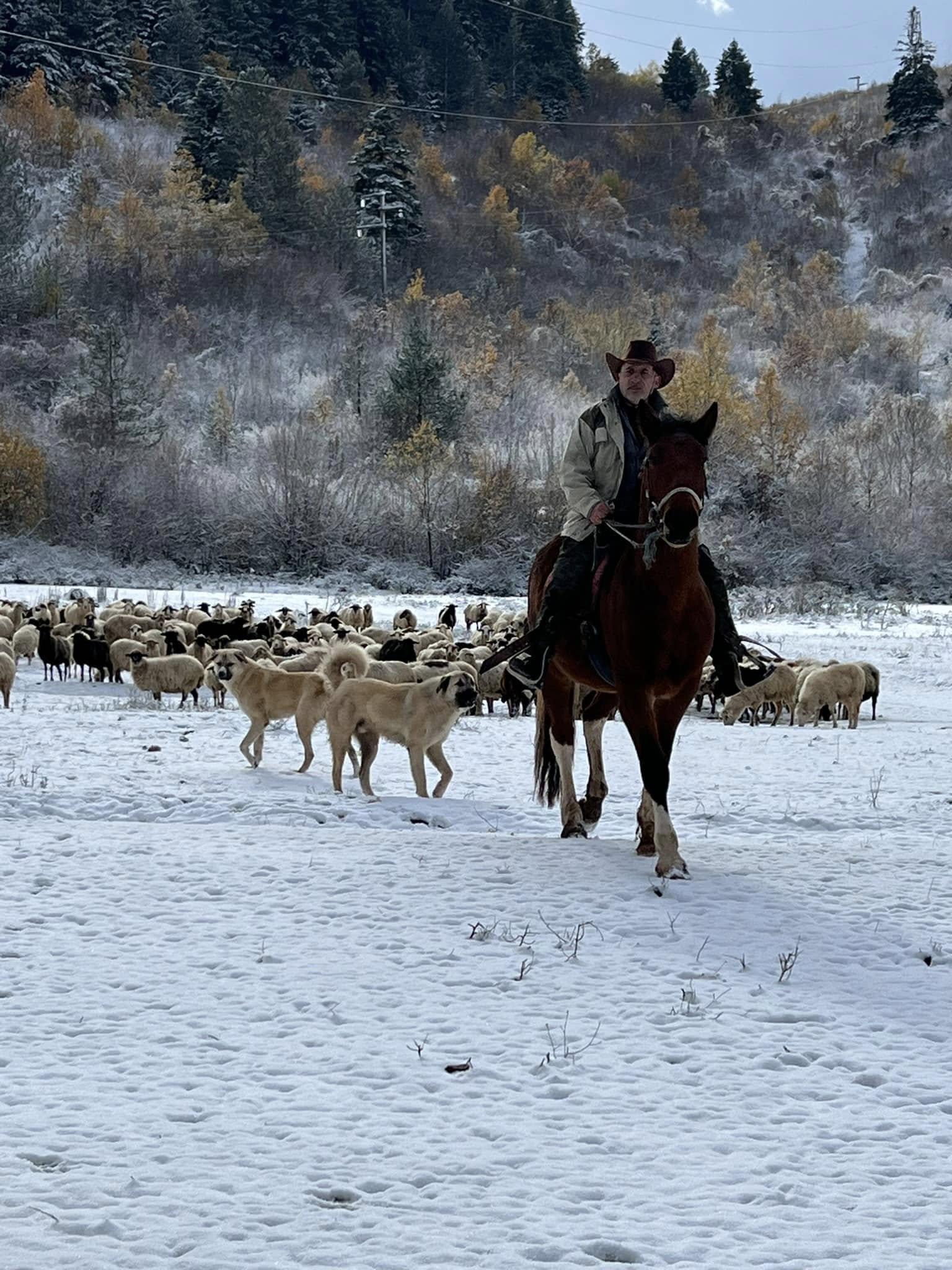 6-daagse Paardrijtocht door Zuid-Albanië -  Albanië - Afbeelding 3