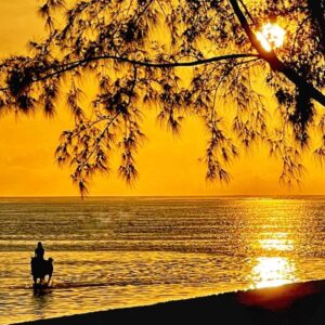 Buitenrit: Zonsondergangrit Riambel - Mauritius - Afbeelding 2