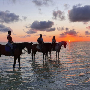 Buitenrit: Zonsondergangrit Riambel - Mauritius - Afbeelding 10