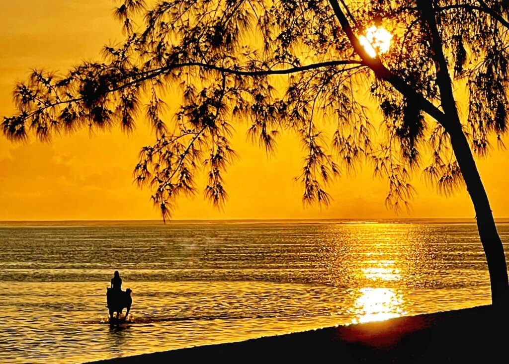Buitenrit: Zonsondergangrit Riambel - Mauritius