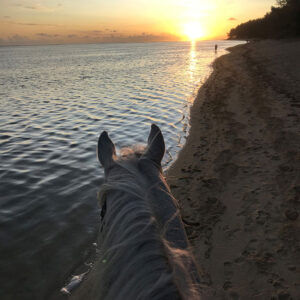Buitenrit: Zonsondergangrit Riambel - Mauritius - Afbeelding 3