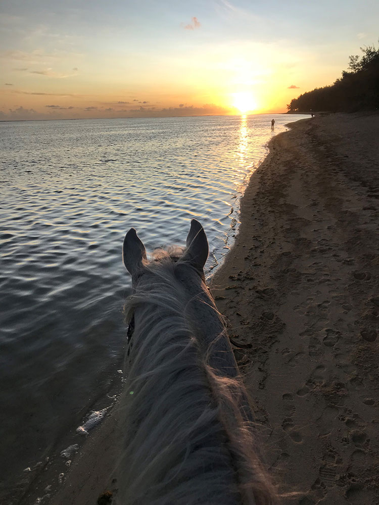 Buitenrit: Zonsondergangrit Riambel - Mauritius - Afbeelding 3
