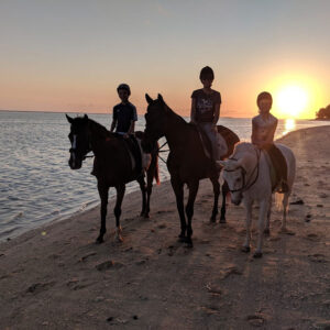 Buitenrit: Zonsondergangrit Riambel - Mauritius - Afbeelding 9