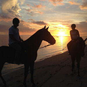 Buitenrit: Zonsondergangrit Riambel - Mauritius - Afbeelding 5