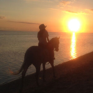 Buitenrit: Zonsondergangrit Riambel - Mauritius - Afbeelding 8
