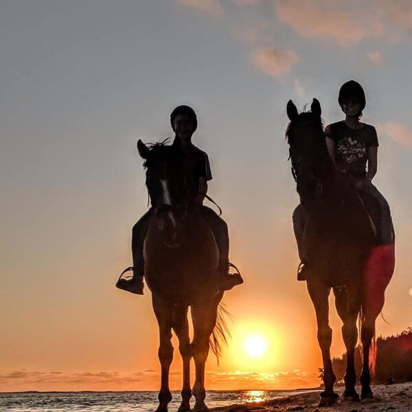 Buitenrit: Zonsondergangrit Riambel - Mauritius