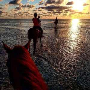 Buitenrit: Zonsondergangrit Riambel - Mauritius - Afbeelding 7