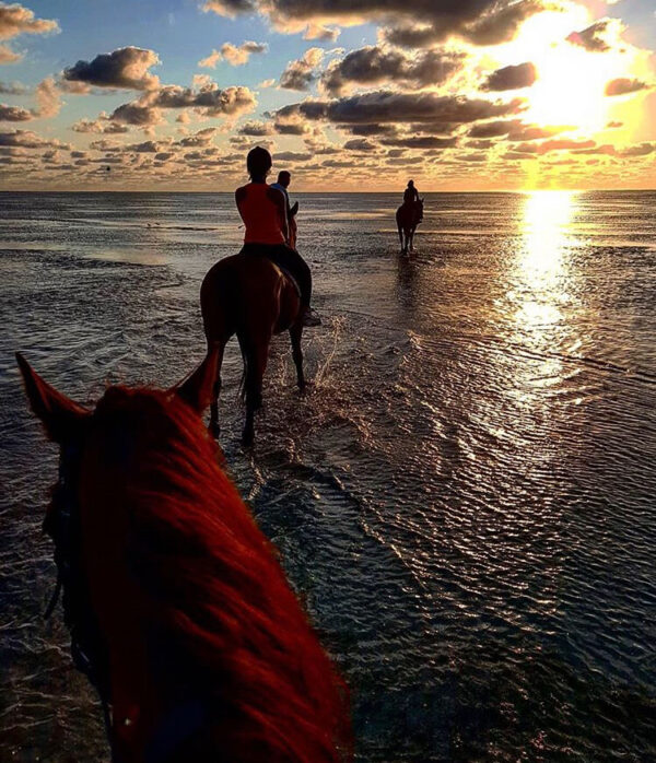 Buitenrit: Zonsondergangrit Riambel - Mauritius