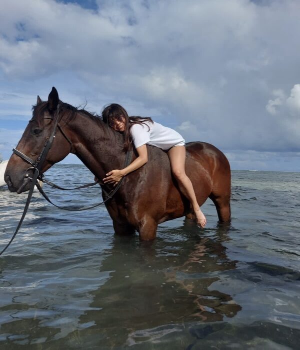 Buitenrit: Zwemmen met paarden en strandrit Riambel - Mauritius