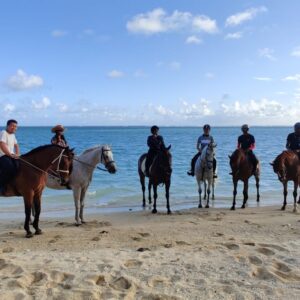 Buitenrit: Strandrit Riambel - Mauritius - Afbeelding 3