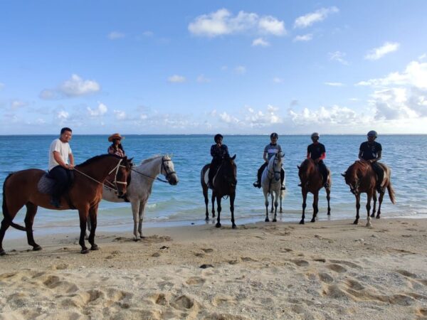 Buitenrit: Strandrit Riambel - Mauritius