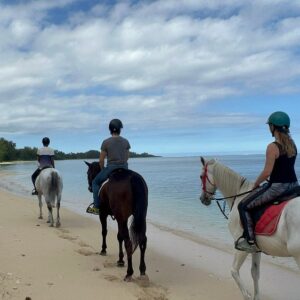 Buitenrit: Strandrit Riambel - Mauritius - Afbeelding 4