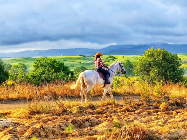 Buitenrit: Natuurrit/wandeltocht/staprit Riambel - Mauritius