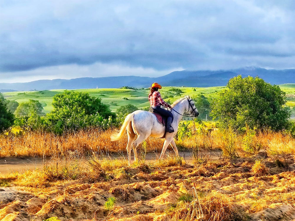 Buitenrit: Natuurrit/wandeltocht/staprit Riambel - Mauritius - Afbeelding 1
