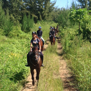 Buitenrit: Natuurrit/wandeltocht/staprit Riambel - Mauritius - Afbeelding 2