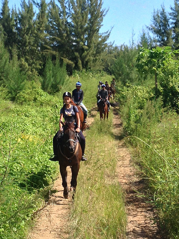 Buitenrit: Natuurrit/wandeltocht/staprit Riambel - Mauritius