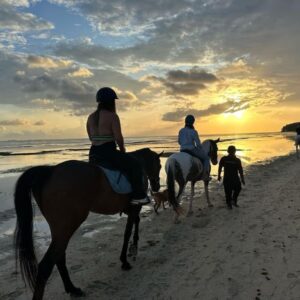 Buitenrit: Zonsondergangrit Riambel - Mauritius - Afbeelding 4