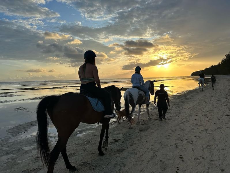 Buitenrit: Zonsondergangrit Riambel - Mauritius - Afbeelding 4