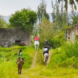 Buitenrit: Natuurrit/wandeltocht/staprit Riambel - Mauritius - Afbeelding 6