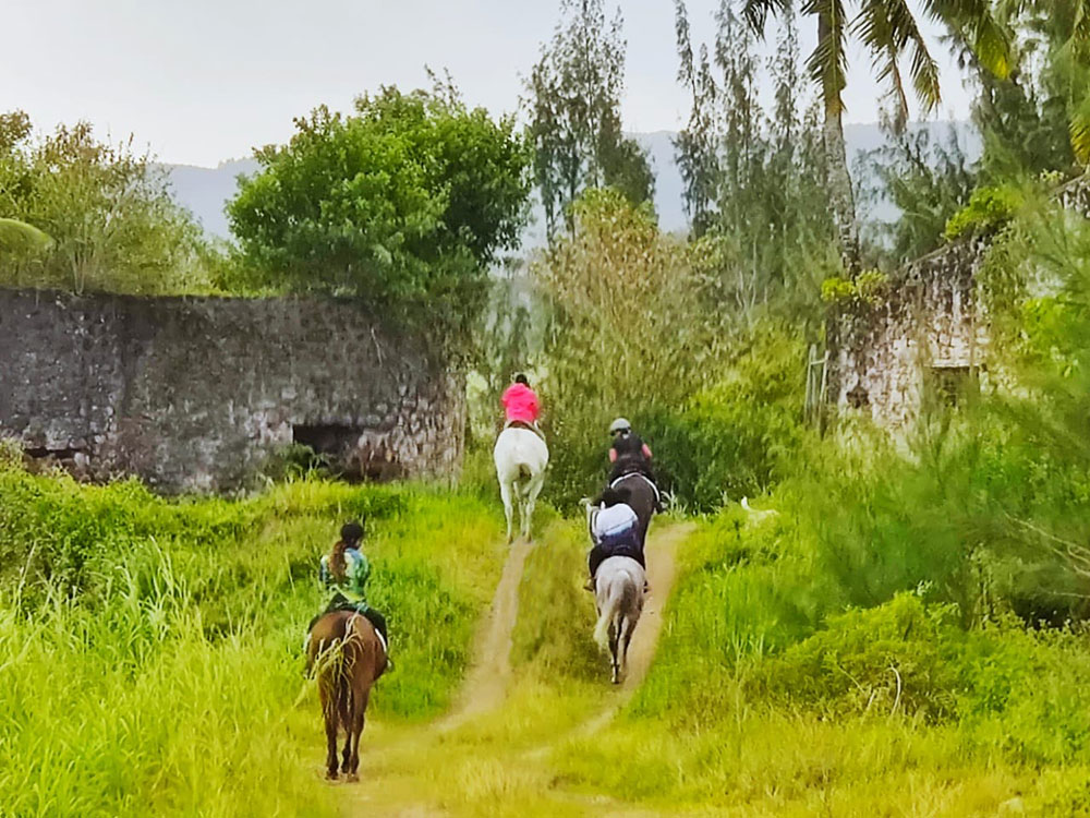 Buitenrit: Natuurrit/wandeltocht/staprit Riambel - Mauritius