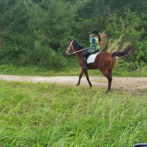 Buitenrit: Natuurrit/wandeltocht/staprit Riambel - Mauritius - Afbeelding 7