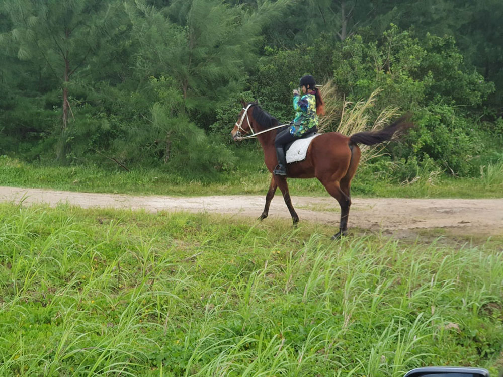 Buitenrit: Natuurrit/wandeltocht/staprit Riambel - Mauritius