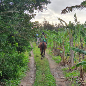 Buitenrit: Natuurrit/wandeltocht/staprit Riambel - Mauritius - Afbeelding 3