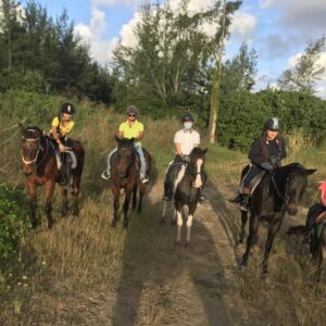 Buitenrit: Natuurrit/wandeltocht/staprit Riambel - Mauritius - Afbeelding 4
