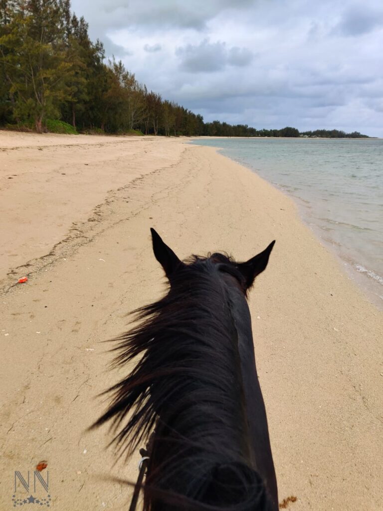 Buitenrit: Strandrit Riambel - Mauritius - Afbeelding 2