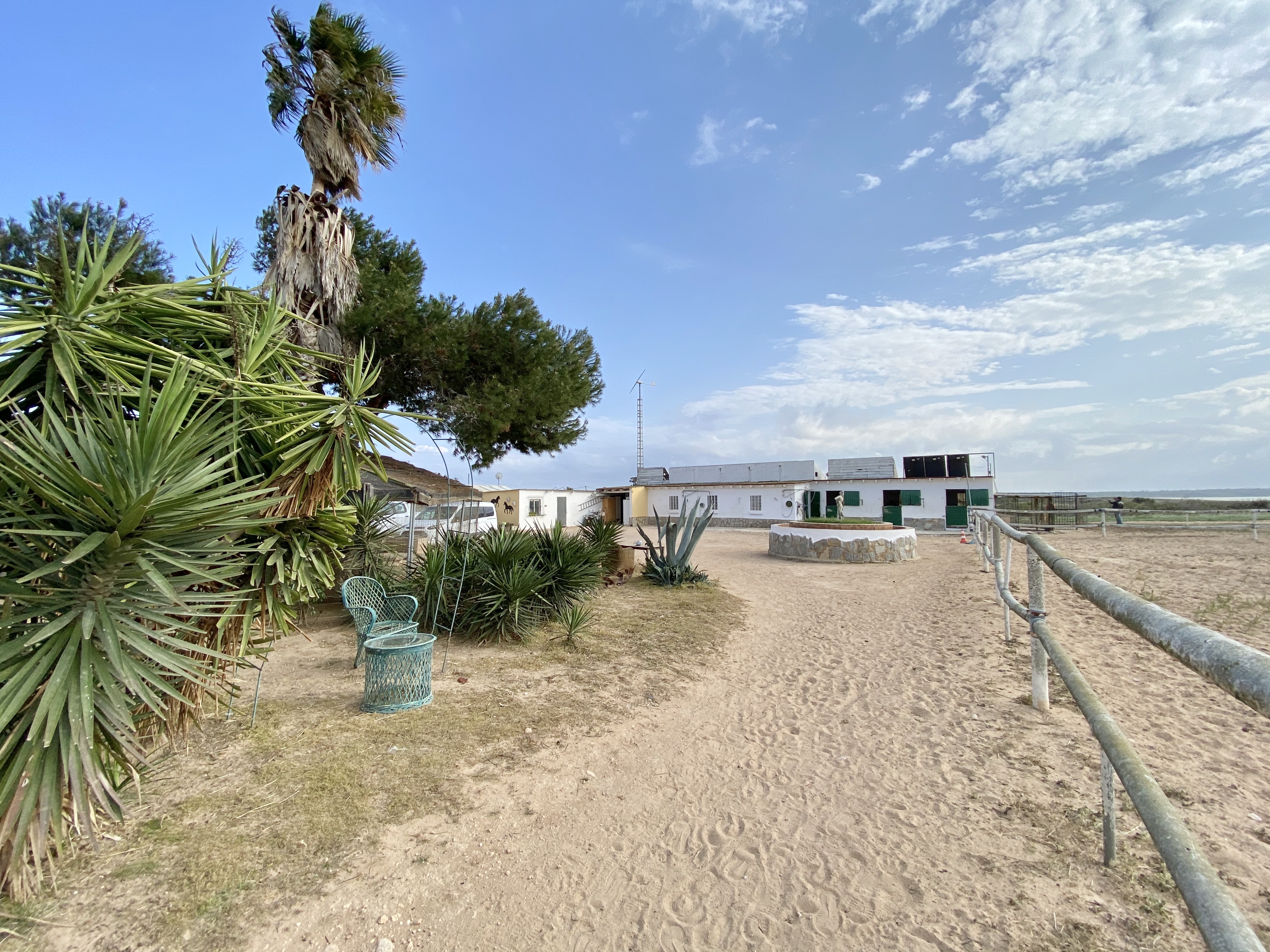 8-daagse paardrijvakantie & Tweedaagse Trail Valencia - Spanje - Afbeelding 20