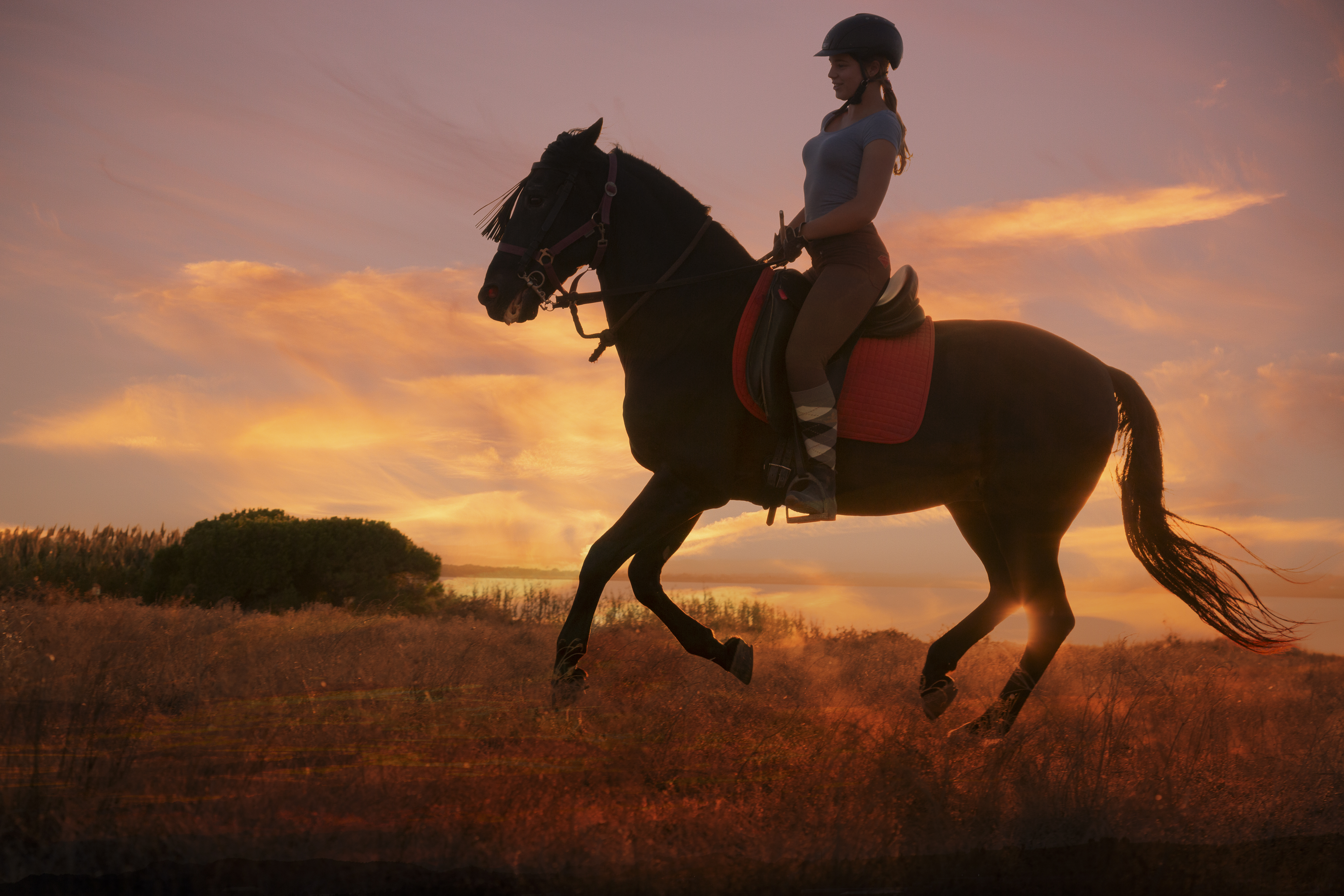 8-daagse Guardamar Trail: Ontdek de Vega Baja Valencia - Spanje - Afbeelding 15