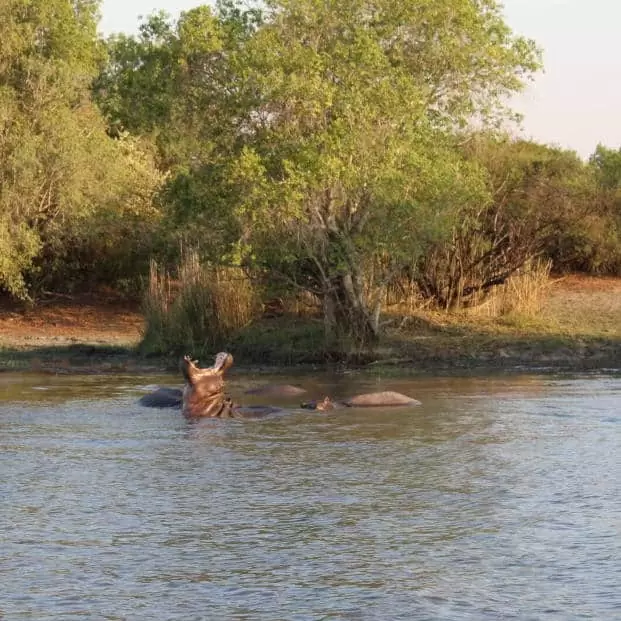 10 of 12-daagse Paardensafari Matobo Hills, Bulawayo & Victoria Falls - Zimbabwe - Afbeelding 22