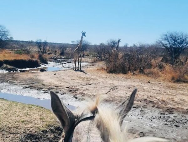 10 of 12-daagse Paardensafari Matobo Hills, Bulawayo & Victoria Falls - Zimbabwe