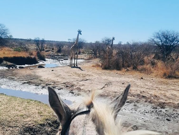 10 of 12-daagse Paardensafari Matobo Hills, Bulawayo & Victoria Falls - Zimbabwe - Afbeelding 23