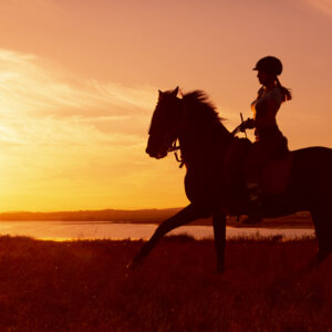 8-daagse paardrijvakantie & Tweedaagse Trail Valencia - Spanje - Afbeelding 13