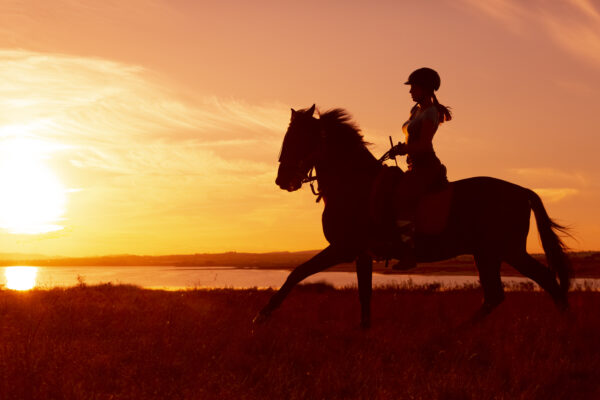 8-daagse paardrijvakantie & Tweedaagse Trail Valencia - Spanje
