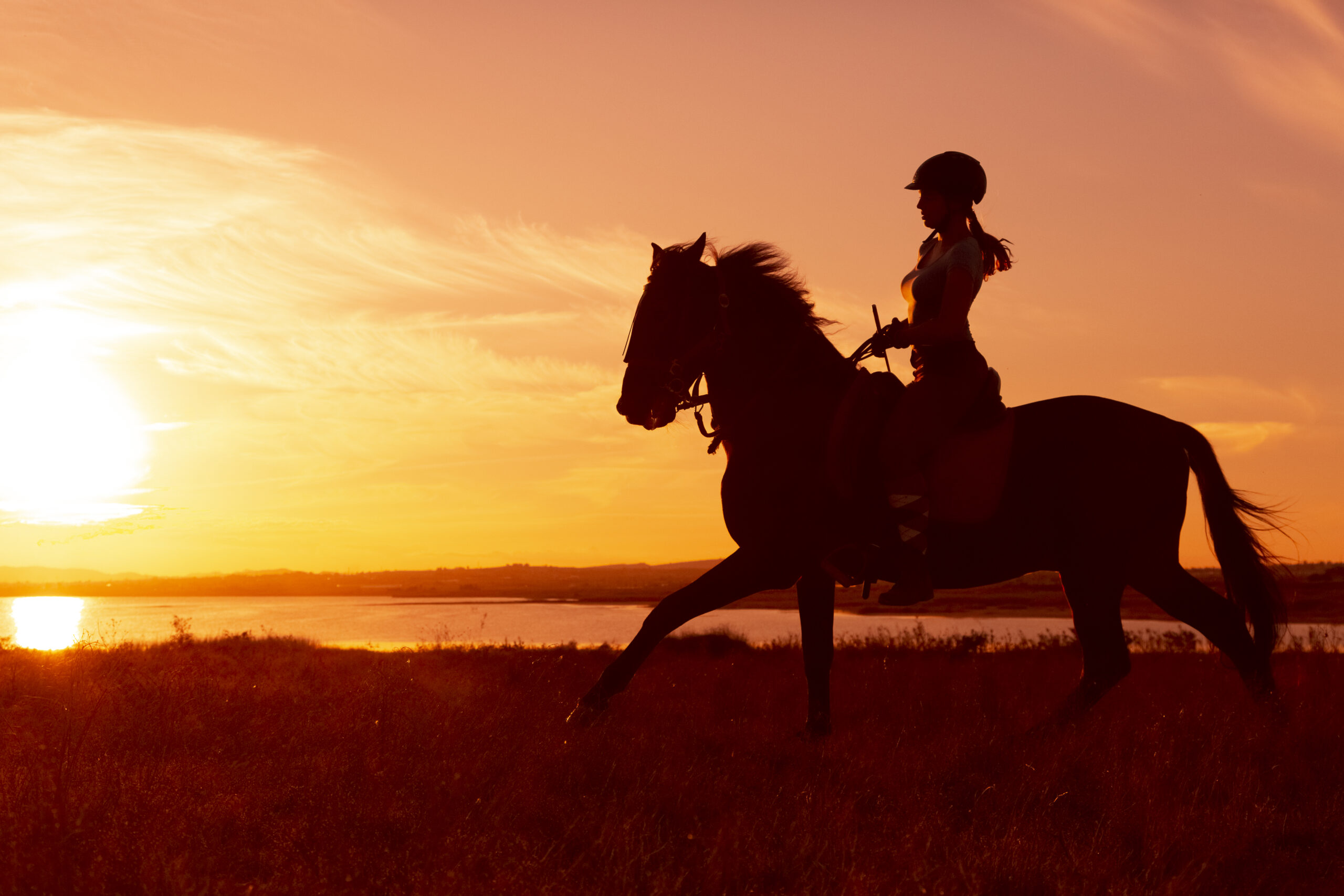 8-daagse paardrijvakantie & Tweedaagse Trail Valencia - Spanje - Afbeelding 13