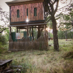 10 of 12-daagse Paardensafari Matobo Hills, Bulawayo & Victoria Falls - Zimbabwe - Afbeelding 11