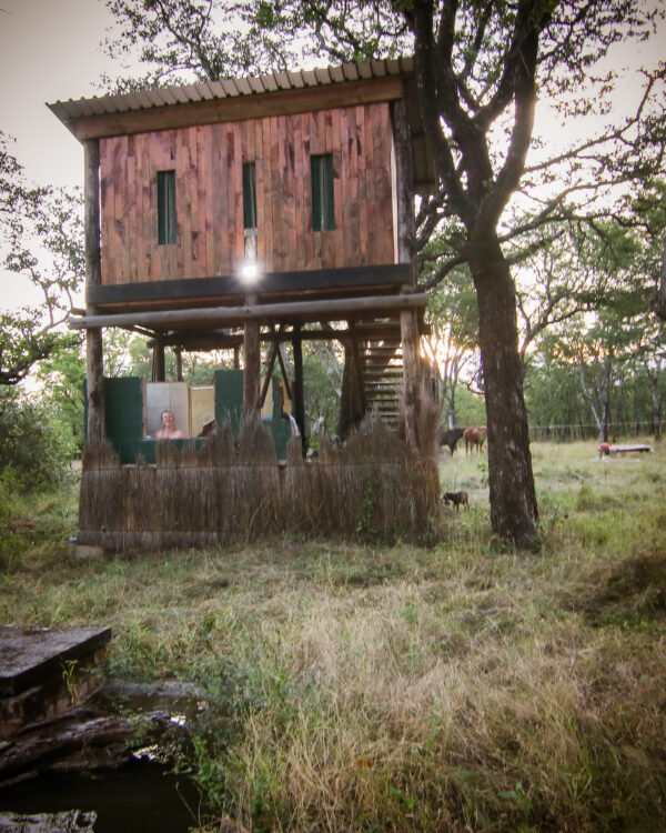 10 of 12-daagse Paardensafari Matobo Hills, Bulawayo & Victoria Falls - Zimbabwe