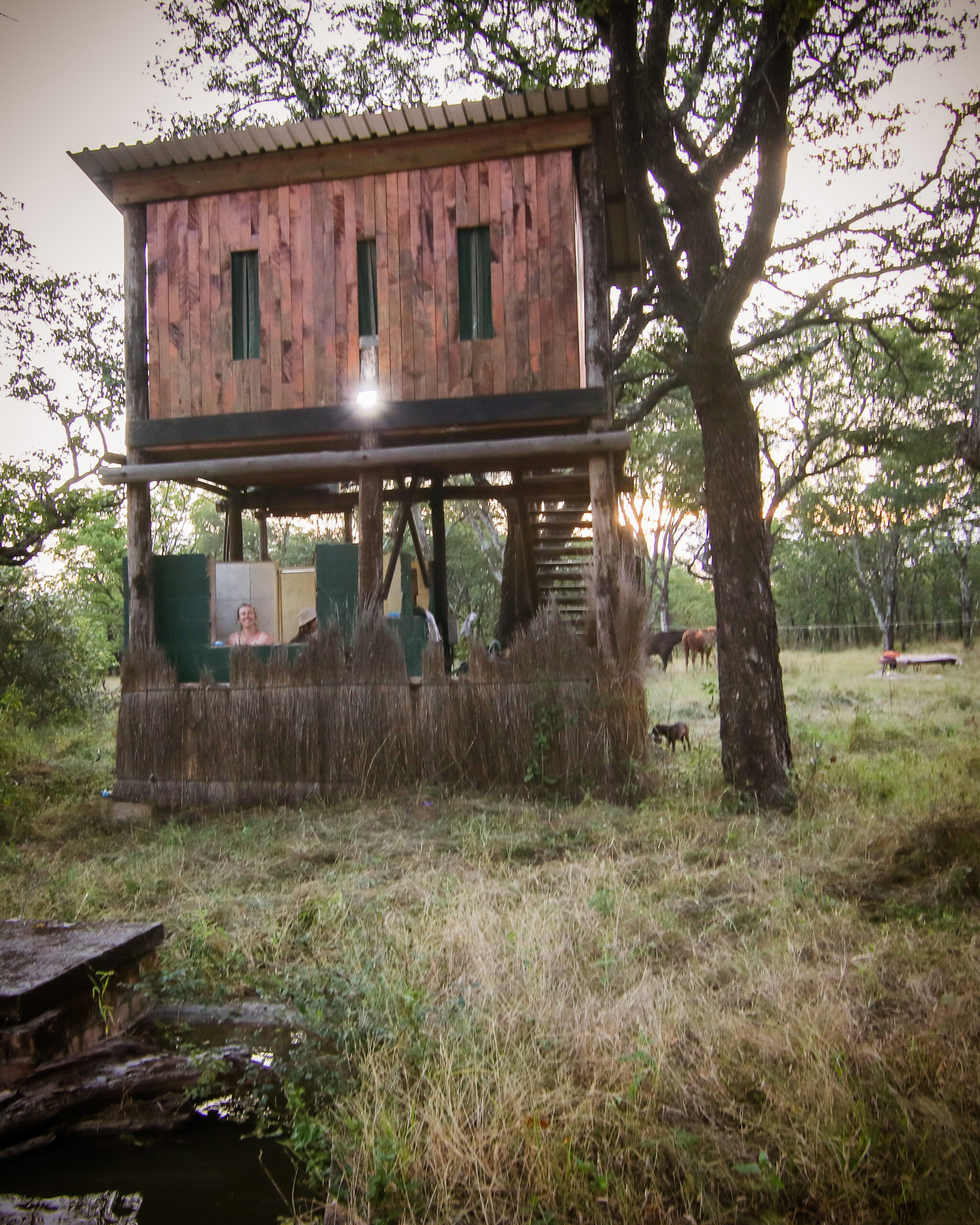 10 of 12-daagse Paardensafari Matobo Hills, Bulawayo & Victoria Falls - Zimbabwe - Afbeelding 11