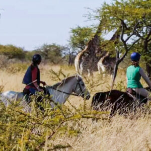 10 of 12-daagse Paardensafari Matobo Hills, Bulawayo & Victoria Falls - Zimbabwe - Afbeelding 33