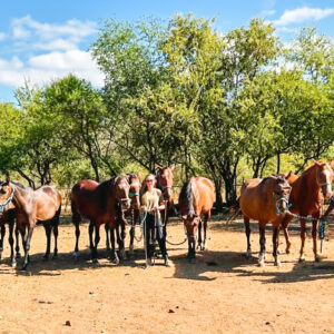 10 of 12-daagse Paardensafari Matobo Hills, Bulawayo & Victoria Falls - Zimbabwe - Afbeelding 2