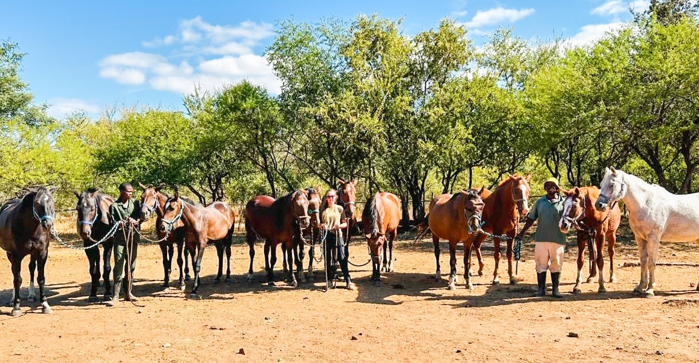 10 of 12-daagse Paardensafari Matobo Hills, Bulawayo & Victoria Falls - Zimbabwe