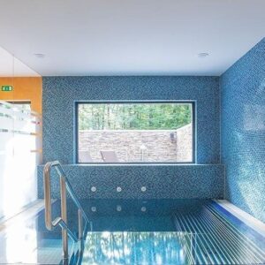 Introductie tot paarden en de basis van het paardrijden Dolenjska - Slovenië - Afbeelding 12