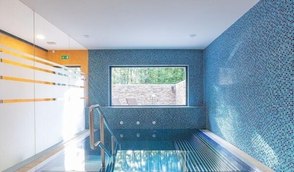 Introductie tot paarden en de basis van het paardrijden Dolenjska - Slovenië