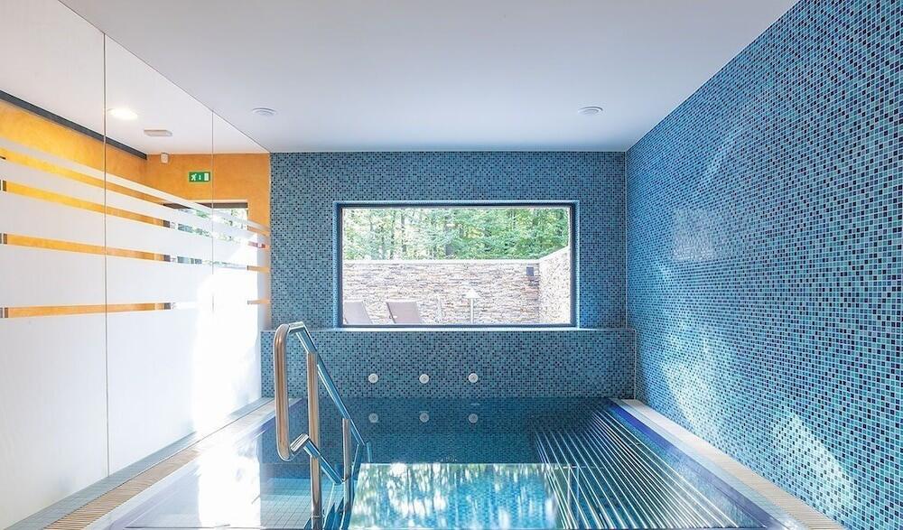 Introductie tot paarden en de basis van het paardrijden Dolenjska - Slovenië - Afbeelding 12