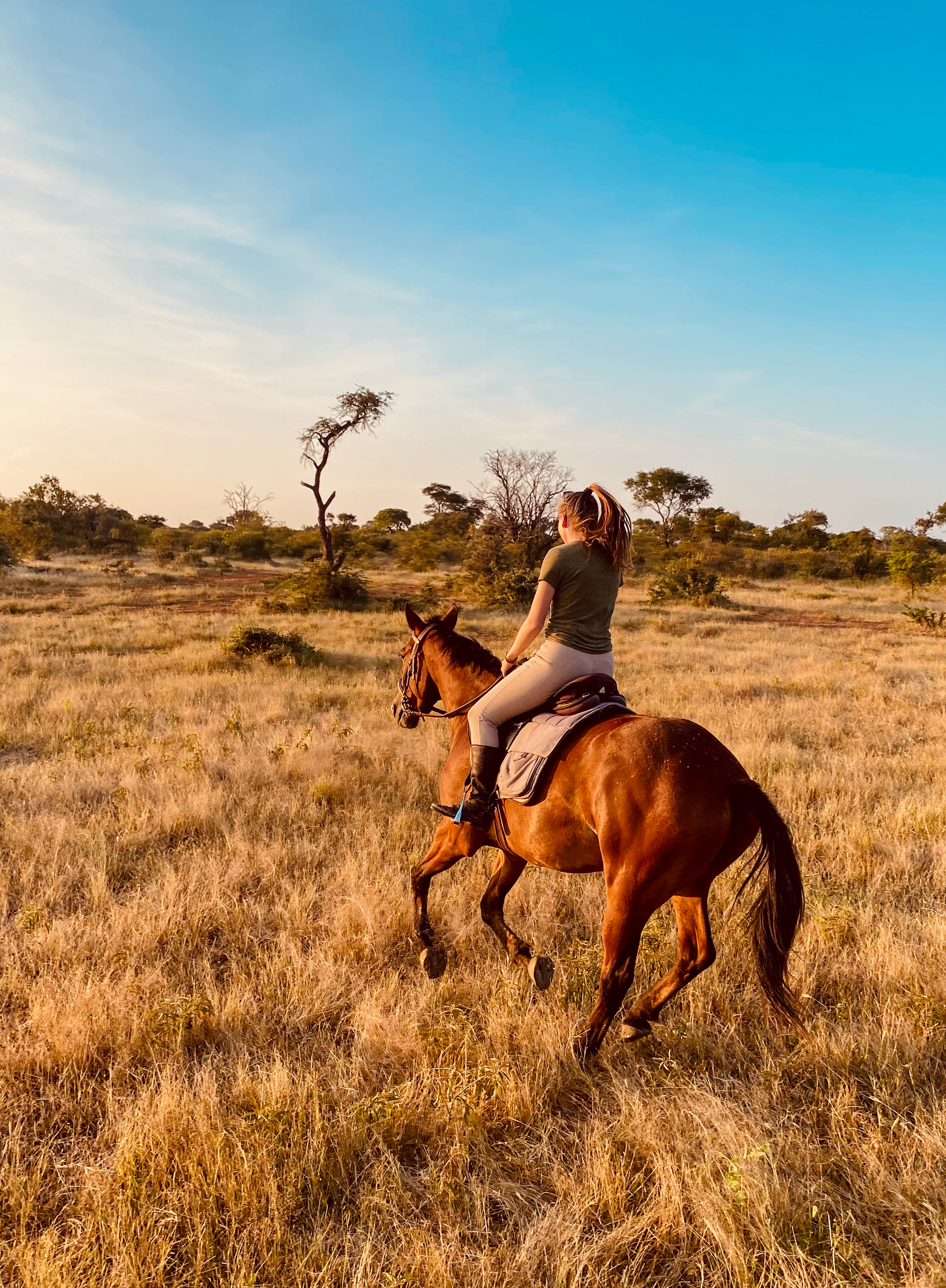 10 of 12-daagse Paardensafari Matobo Hills, Bulawayo & Victoria Falls - Zimbabwe