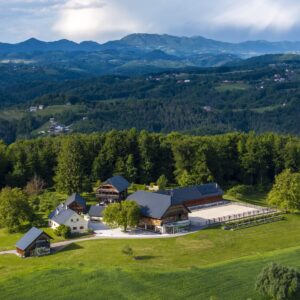 Introductie tot paarden en de basis van het paardrijden Dolenjska - Slovenië - Afbeelding 13