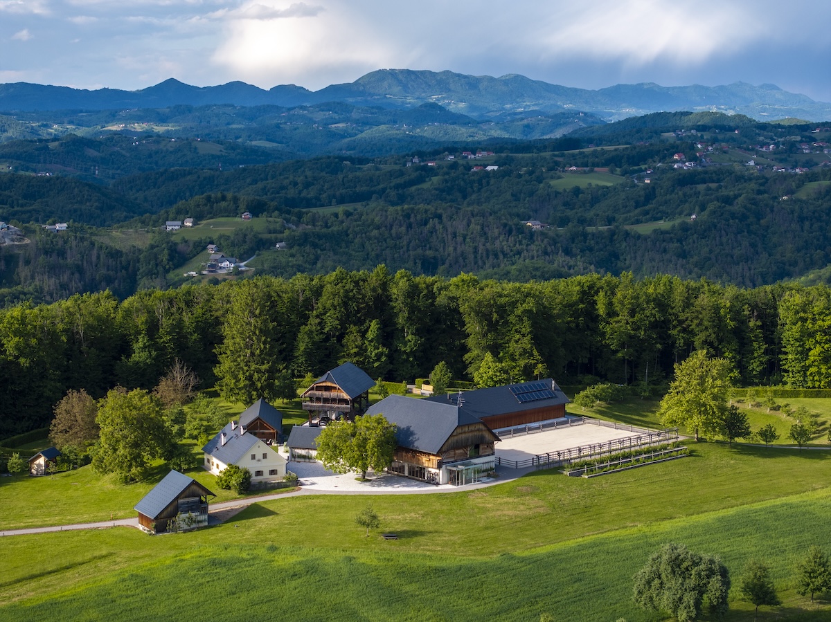 Introductie tot paarden en de basis van het paardrijden Dolenjska - Slovenië - Afbeelding 13